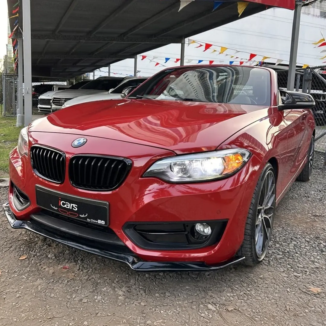 2017 BMW 230i