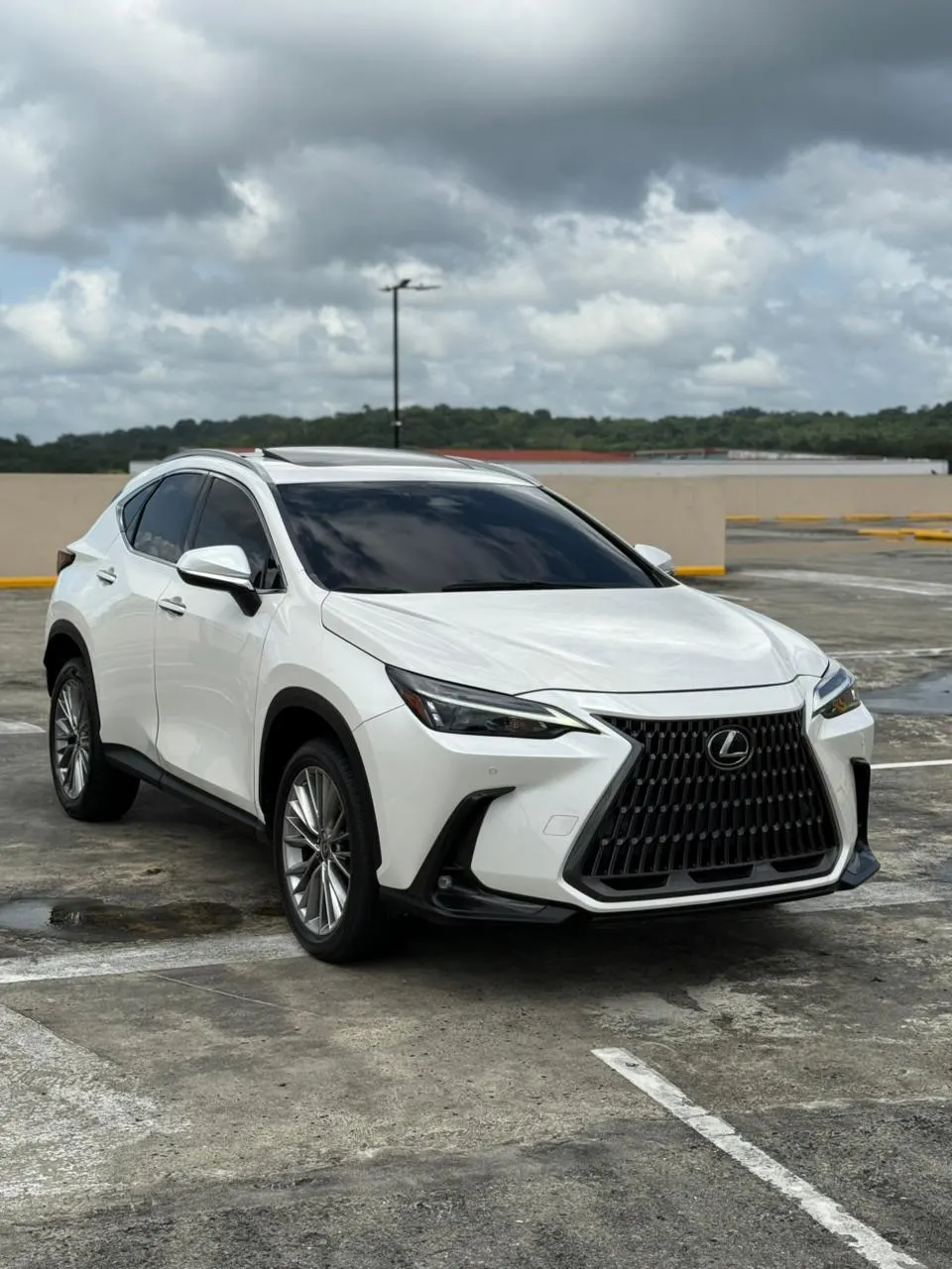 2022 Lexus NX