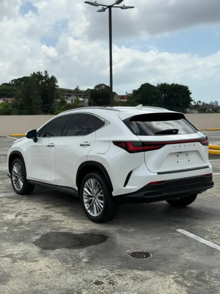 2022 Lexus NX