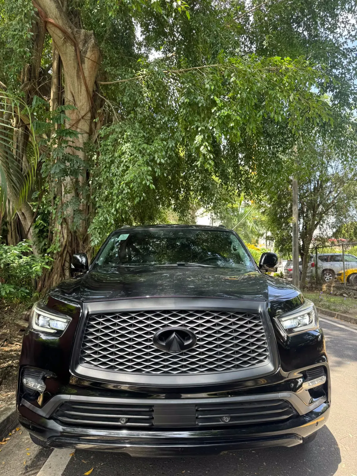 2020 Infiniti QX80