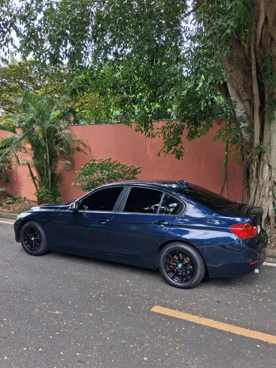 2013 BMW 316I