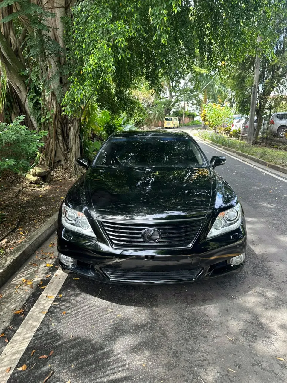 2012 Lexus LS 460