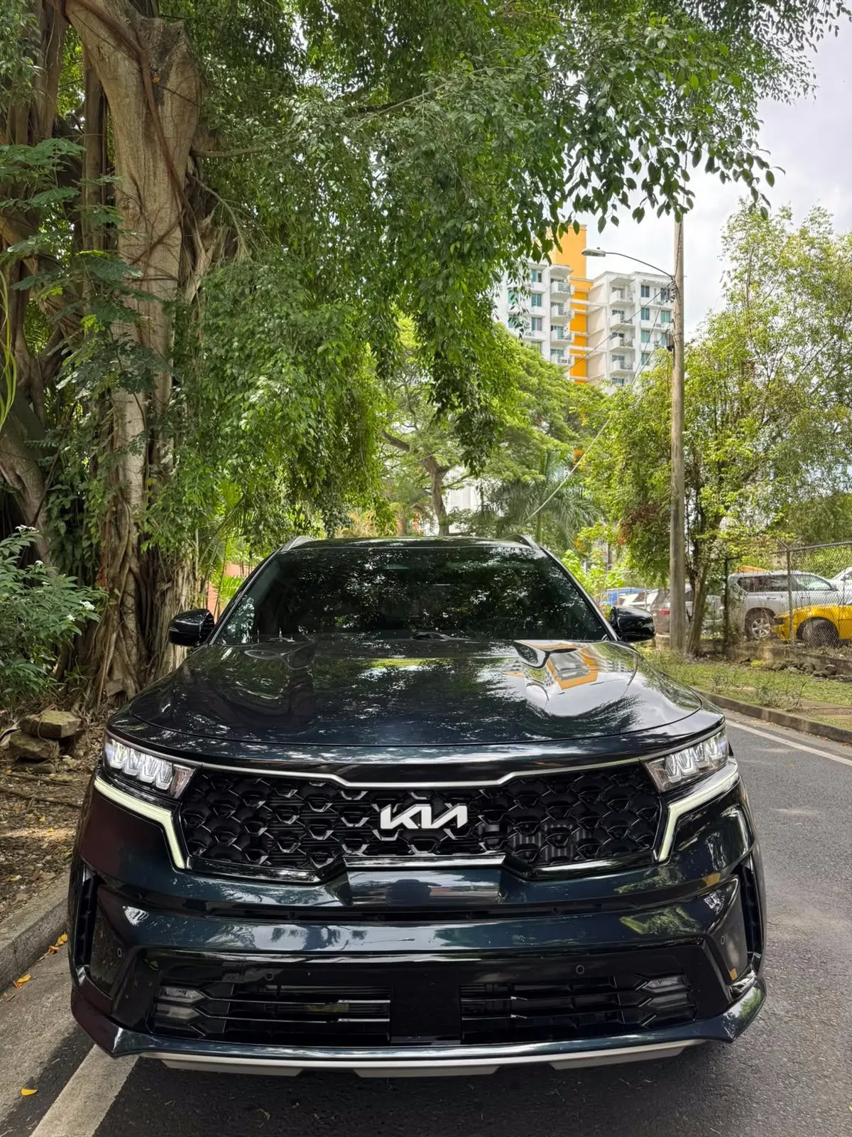 2024 Kia Sorento HEV