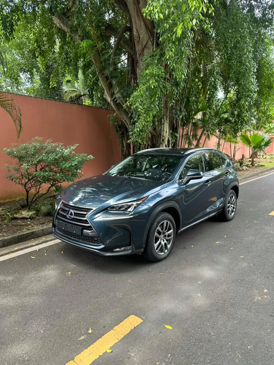 2016 Lexus NX300H