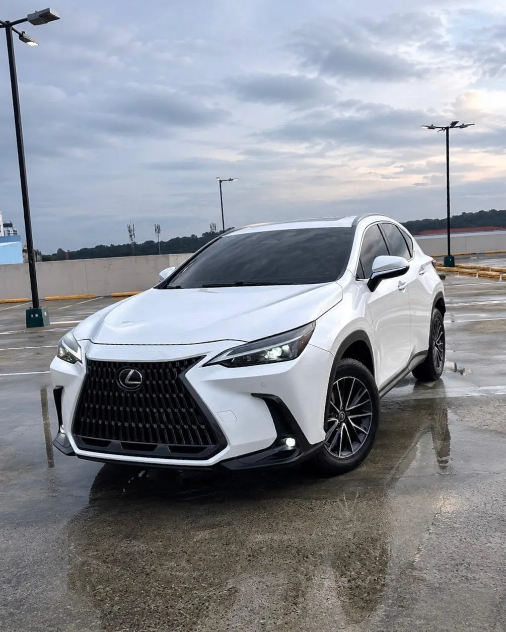 2022 Lexus NX