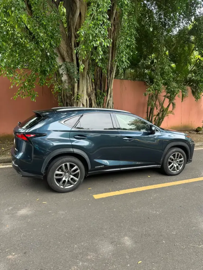 2016 Lexus NX300H
