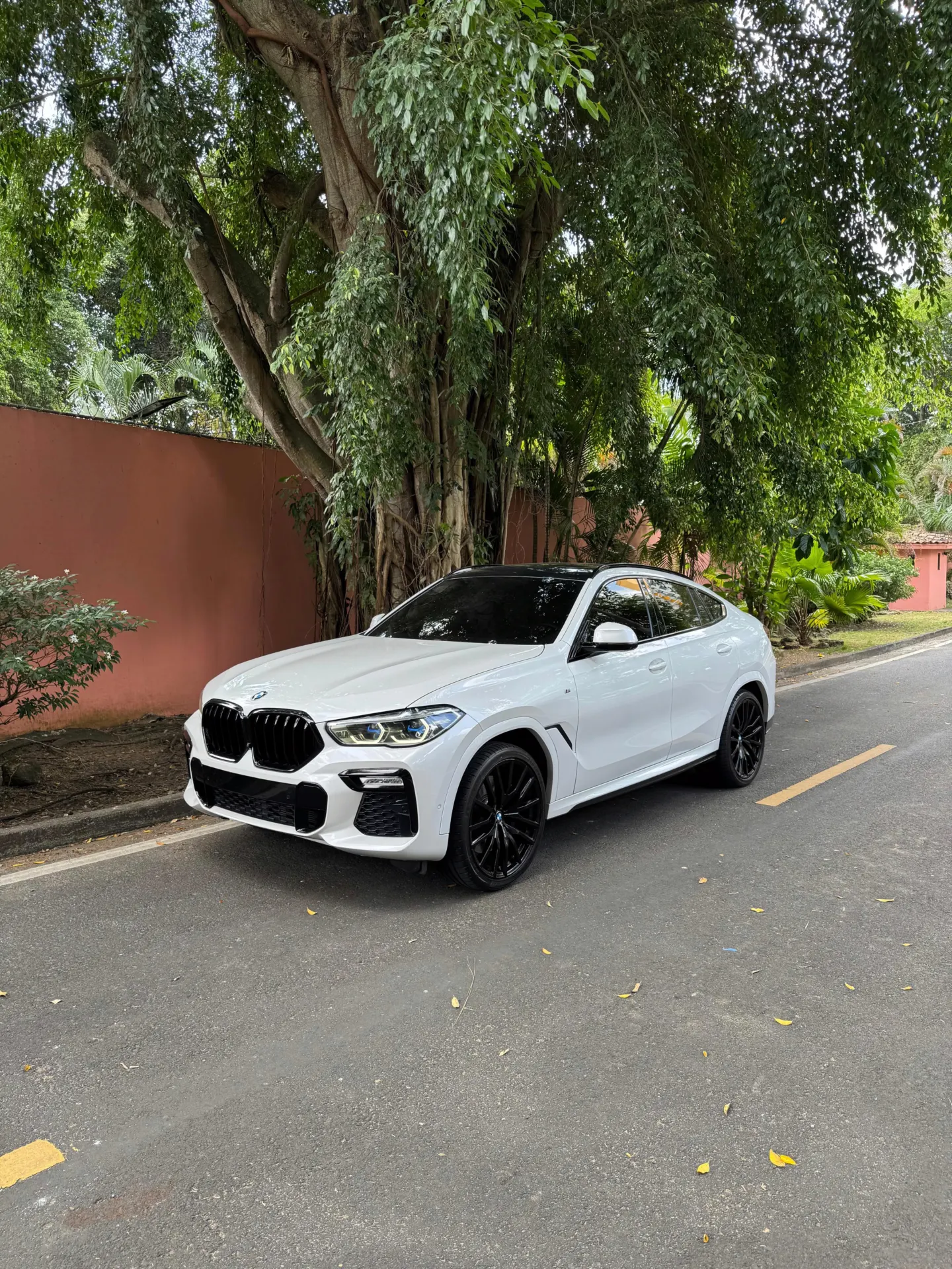 2020 BMW X6 xDrive40i M Package