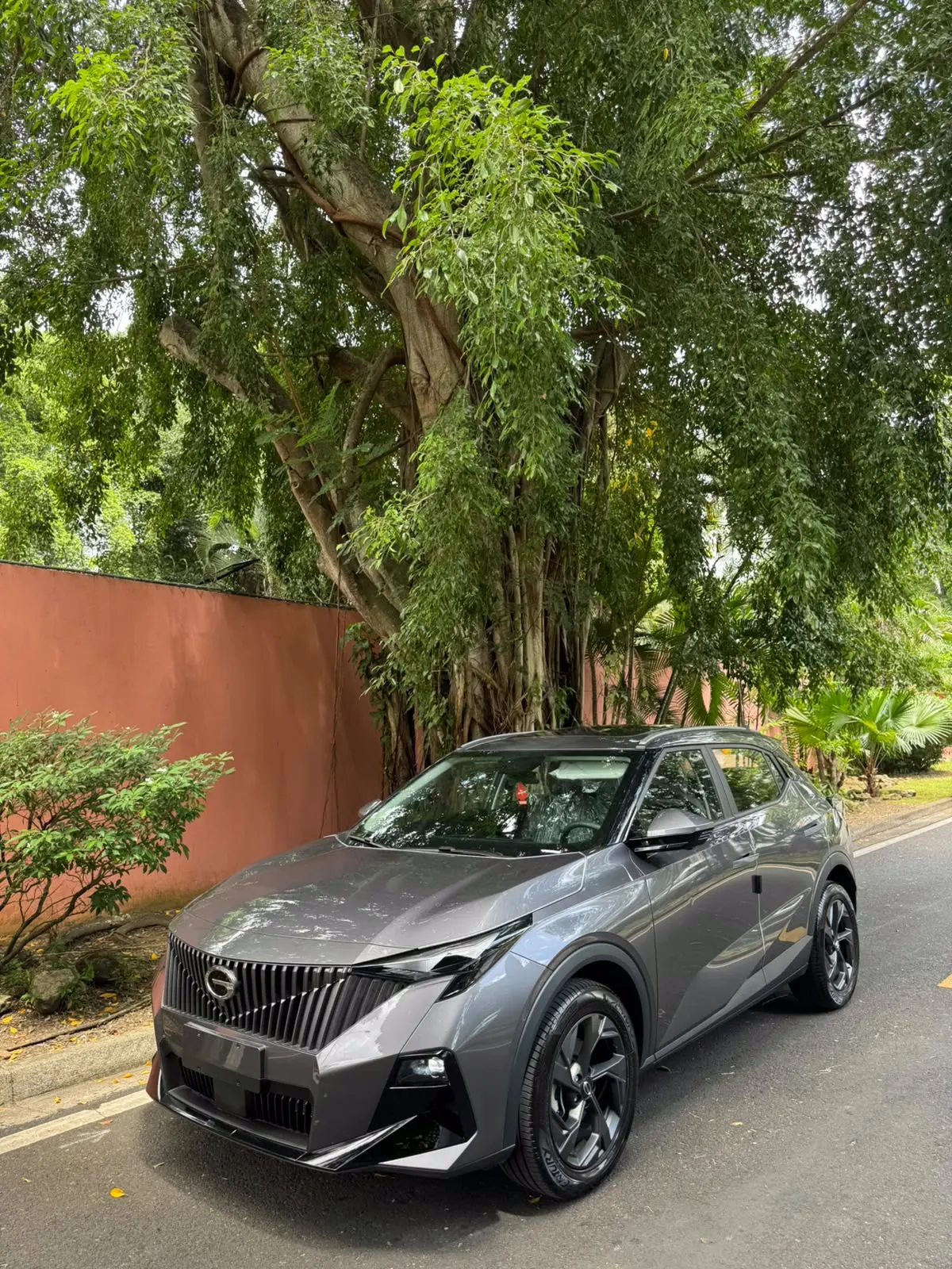 2025 GAC Emzoom