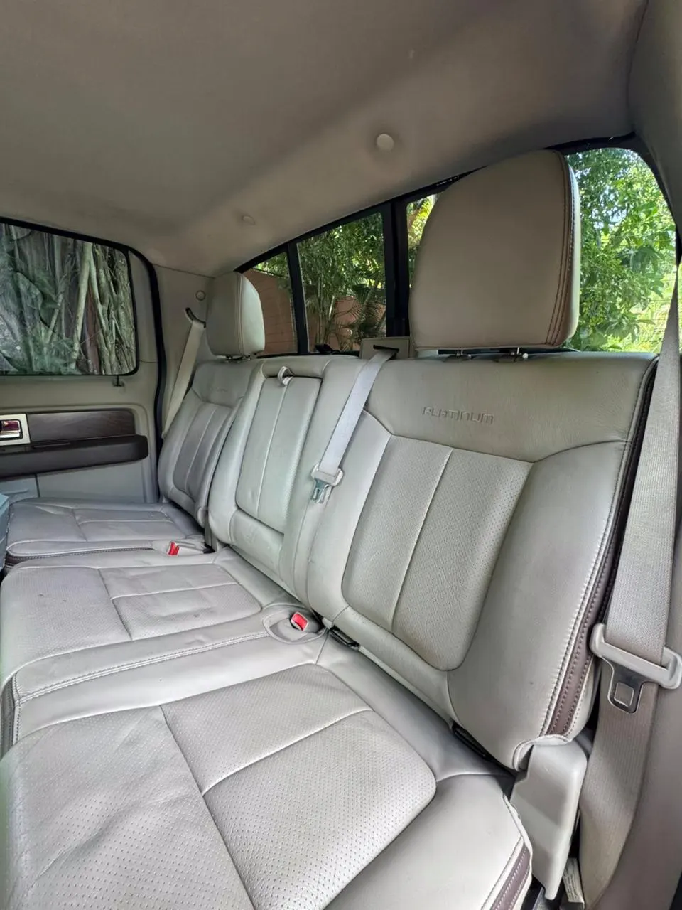 2010 Ford F-150 Platinum