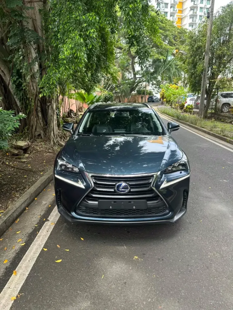 2016 Lexus NX300H