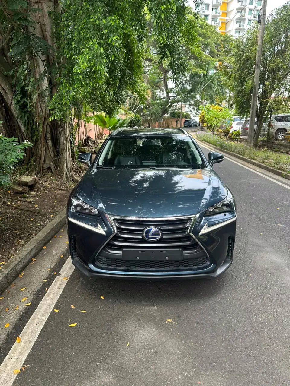 2016 Lexus NX300H