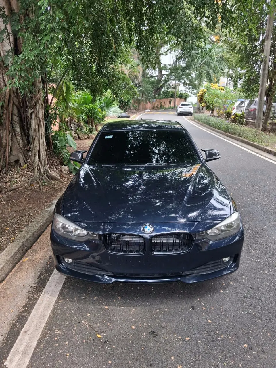 2013 BMW 316I