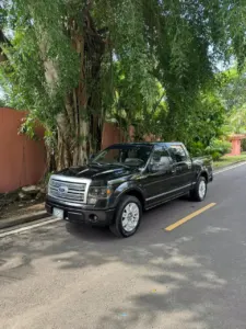 2010 Ford F-150 Platinum