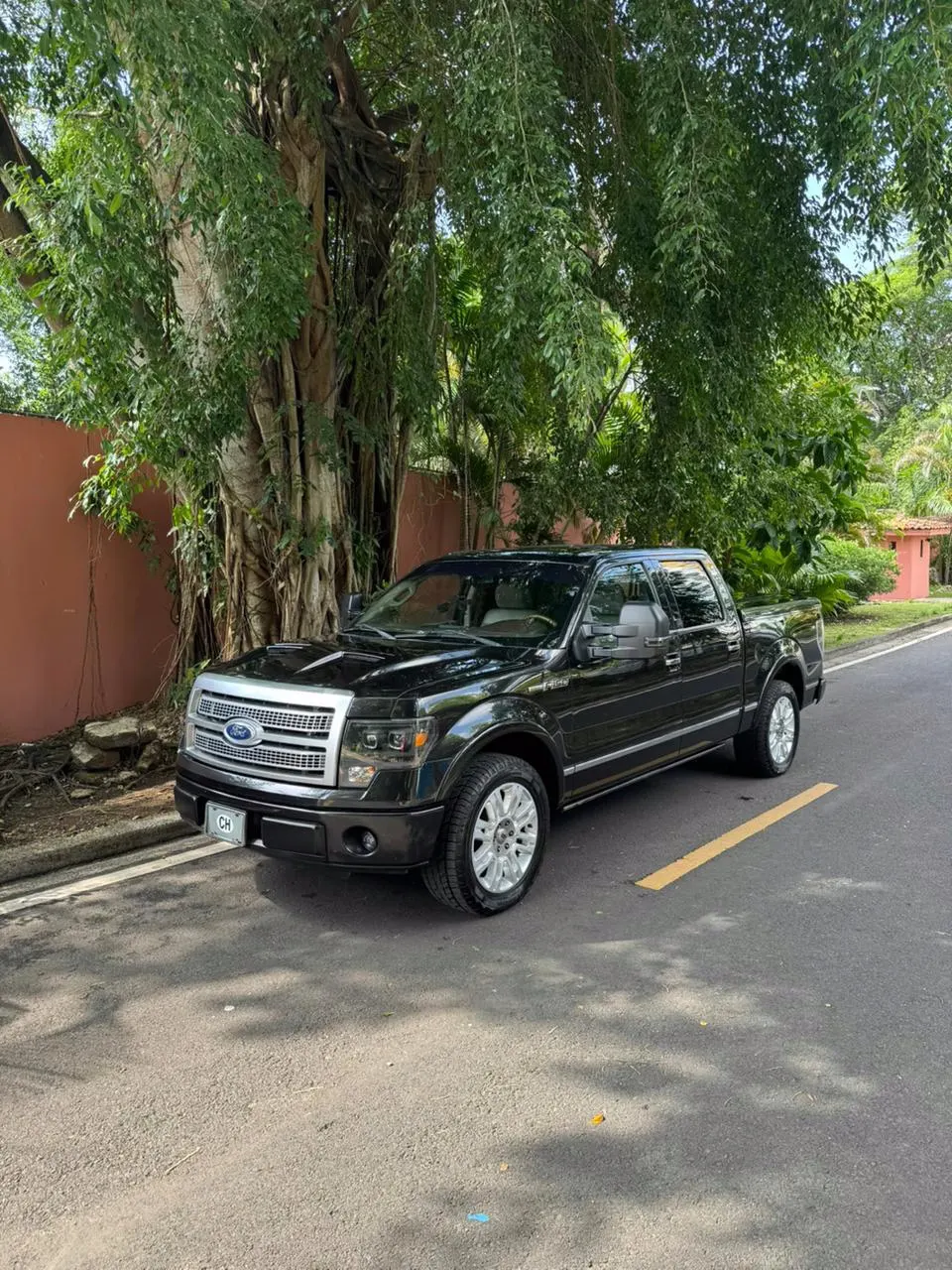 2010 Ford F-150 Platinum