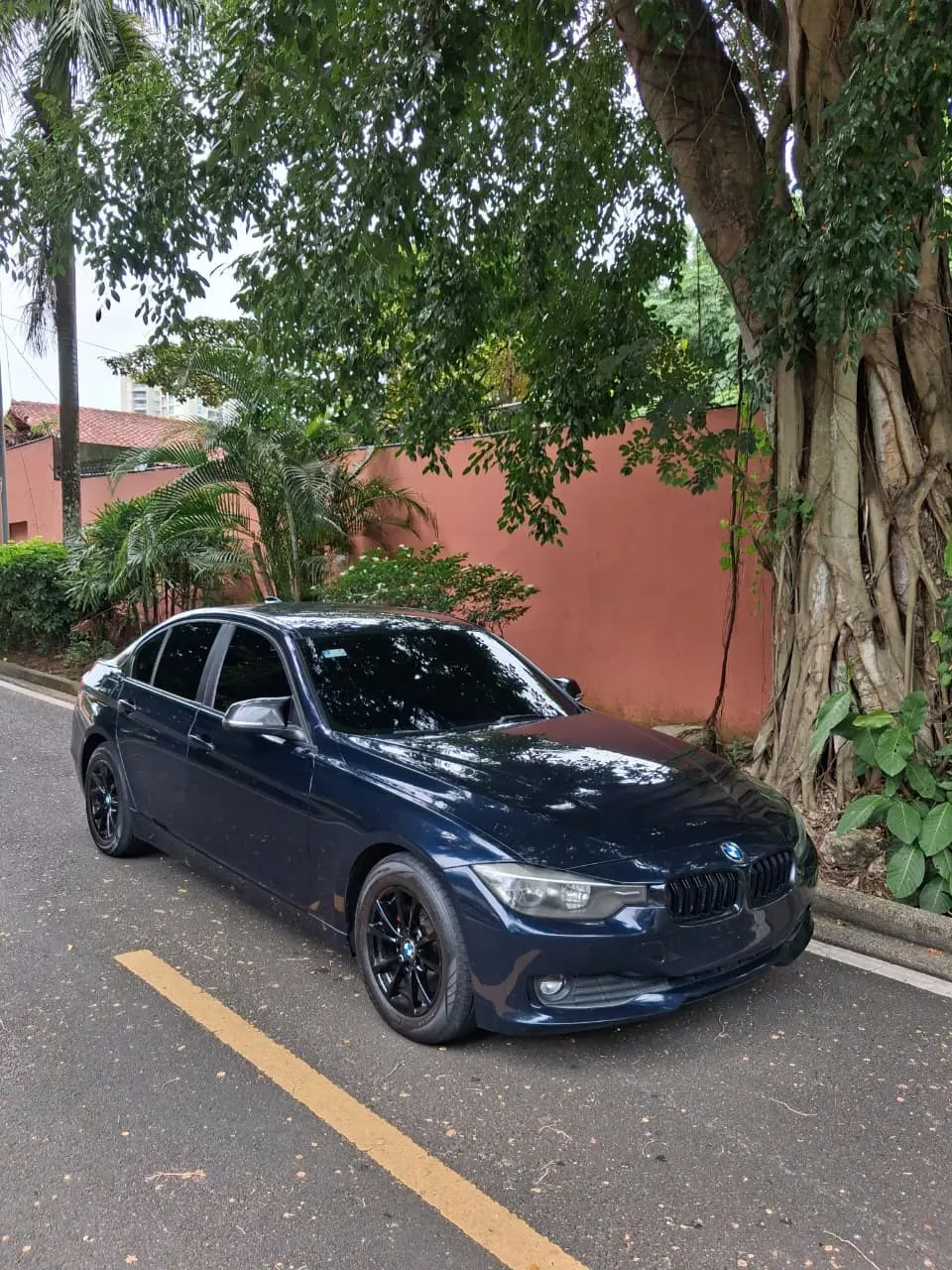 2013 BMW 316I