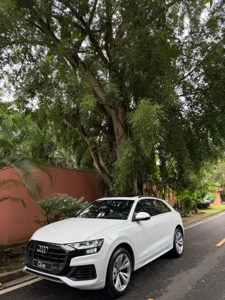 2021 Audi Q8 55 TFSI Quattro