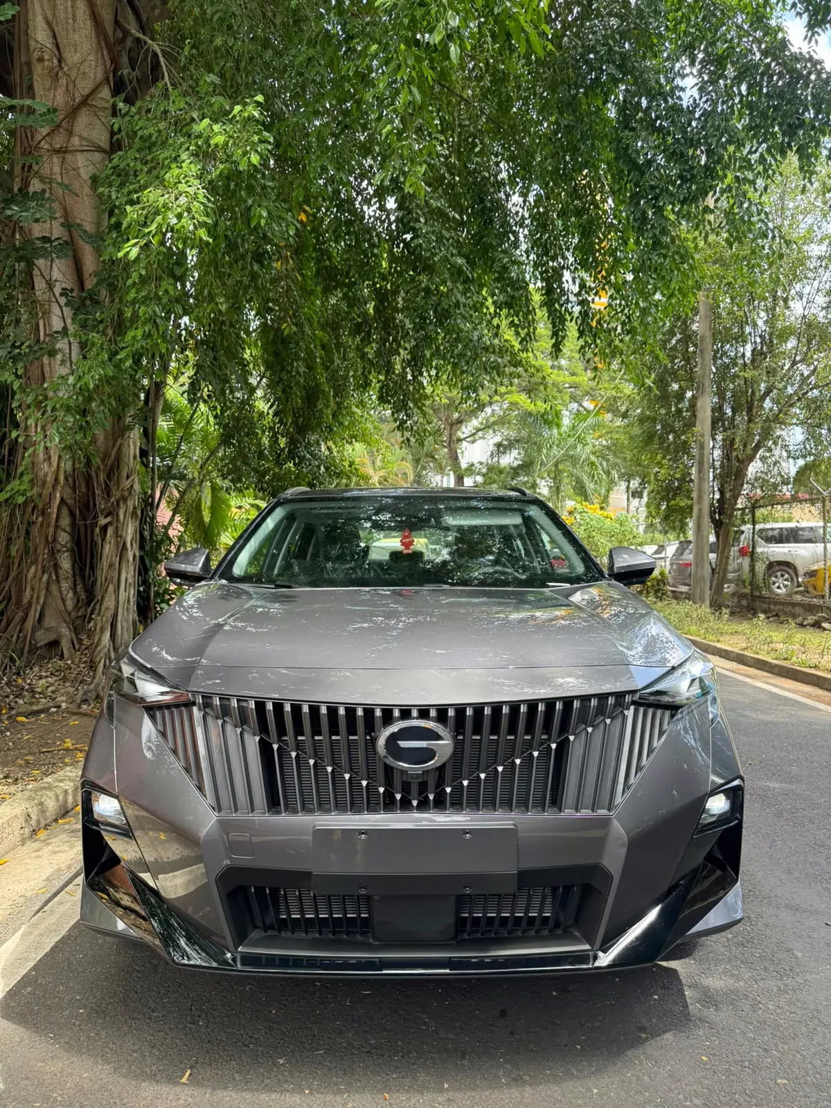 2025 GAC Emzoom