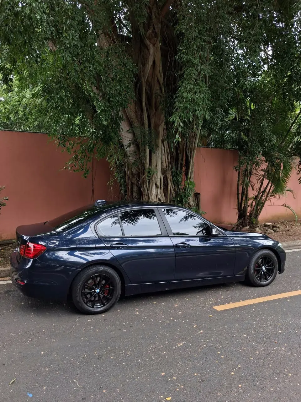 2013 BMW 316I