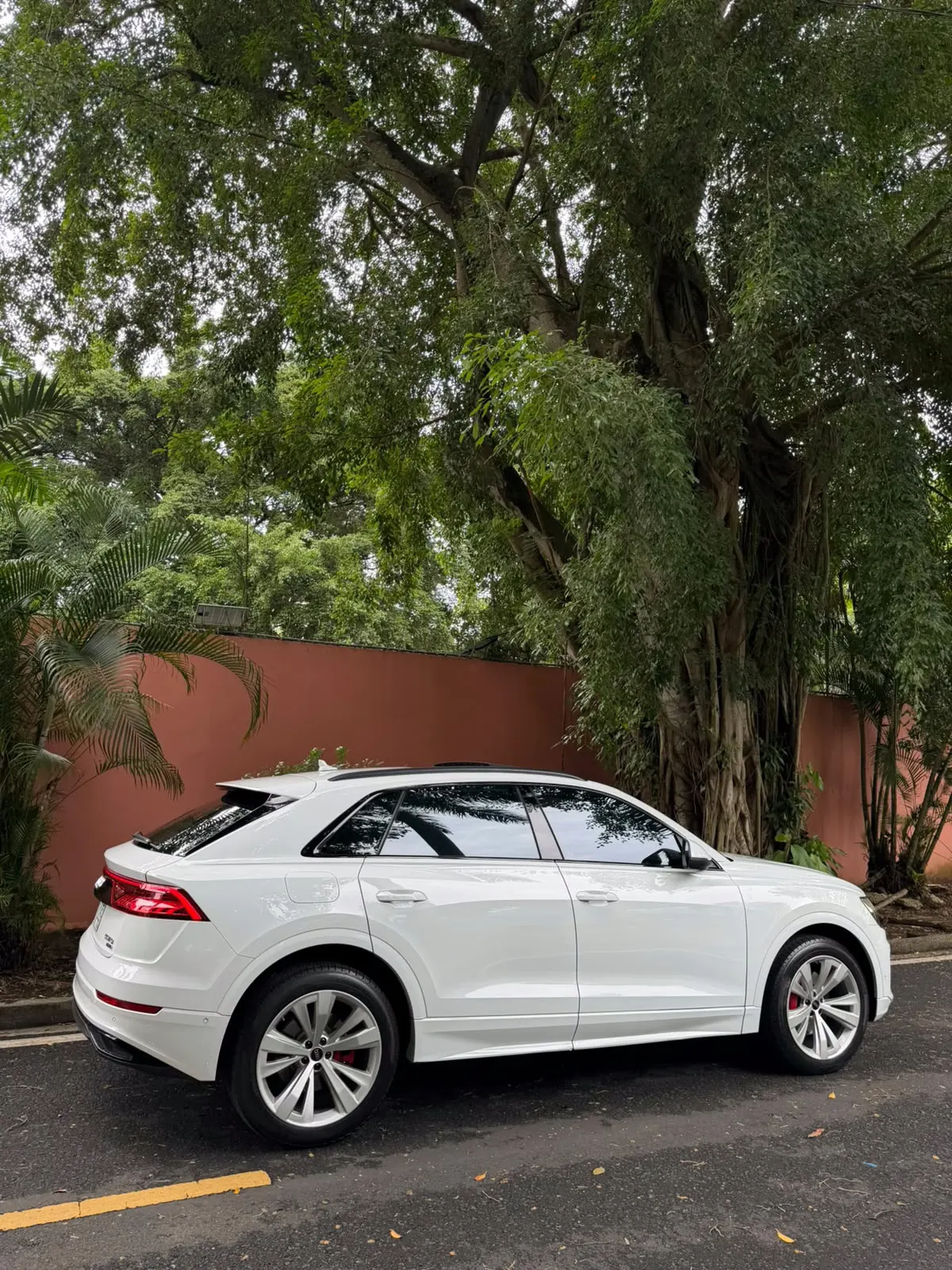 2021 Audi Q8 55 TFSI Quattro