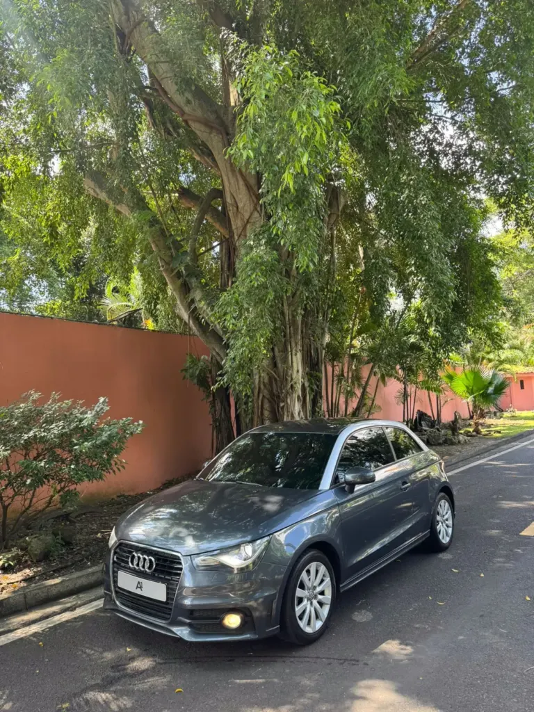 2014 Audi A1 Sline