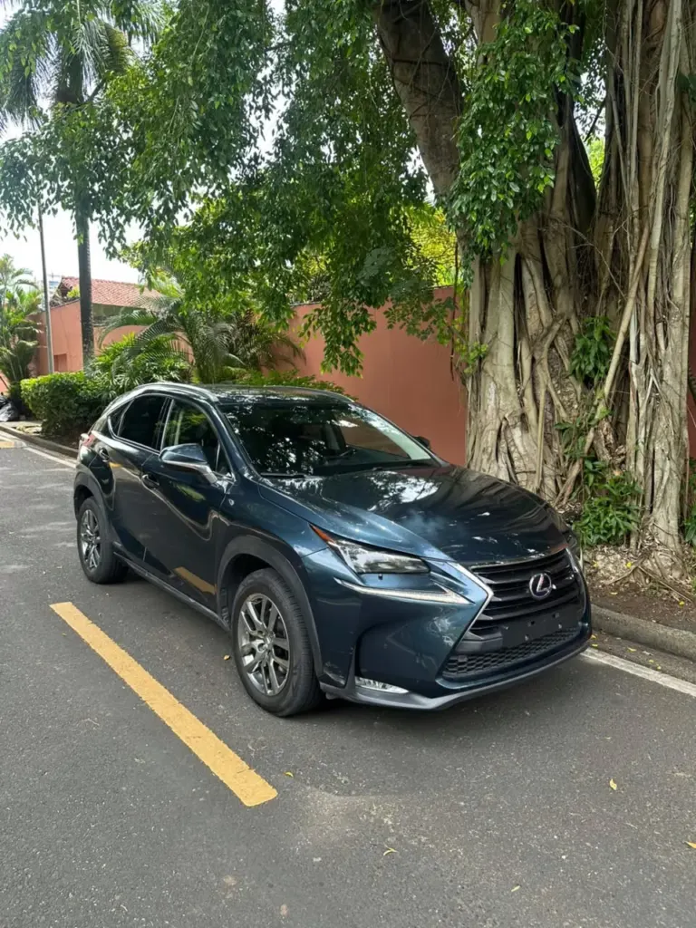 2016 Lexus NX300H