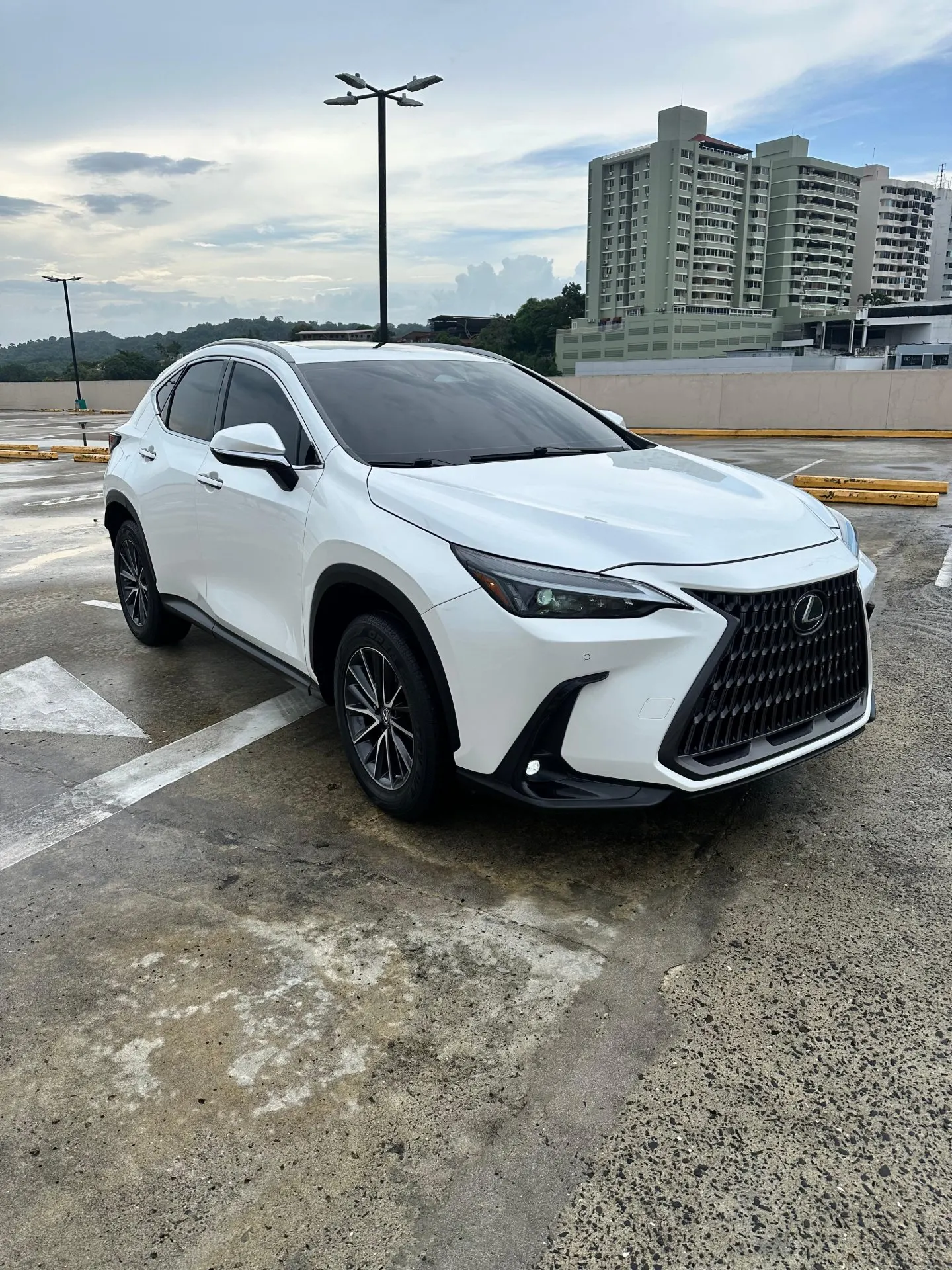 2022 Lexus NX