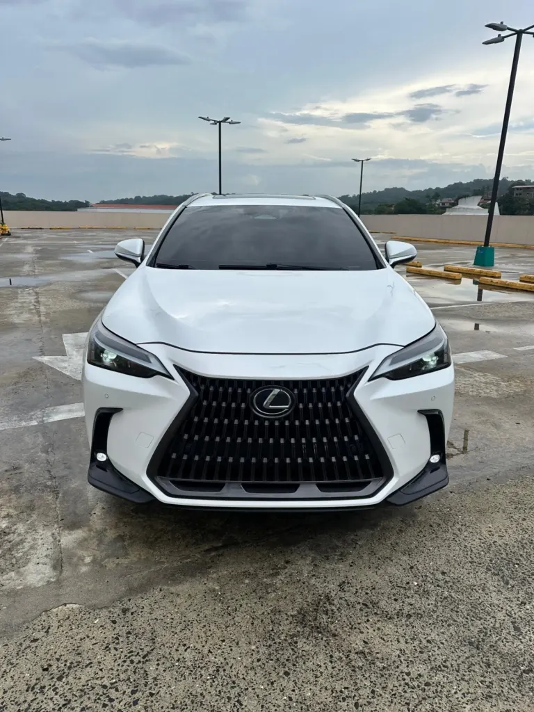 2022 Lexus NX