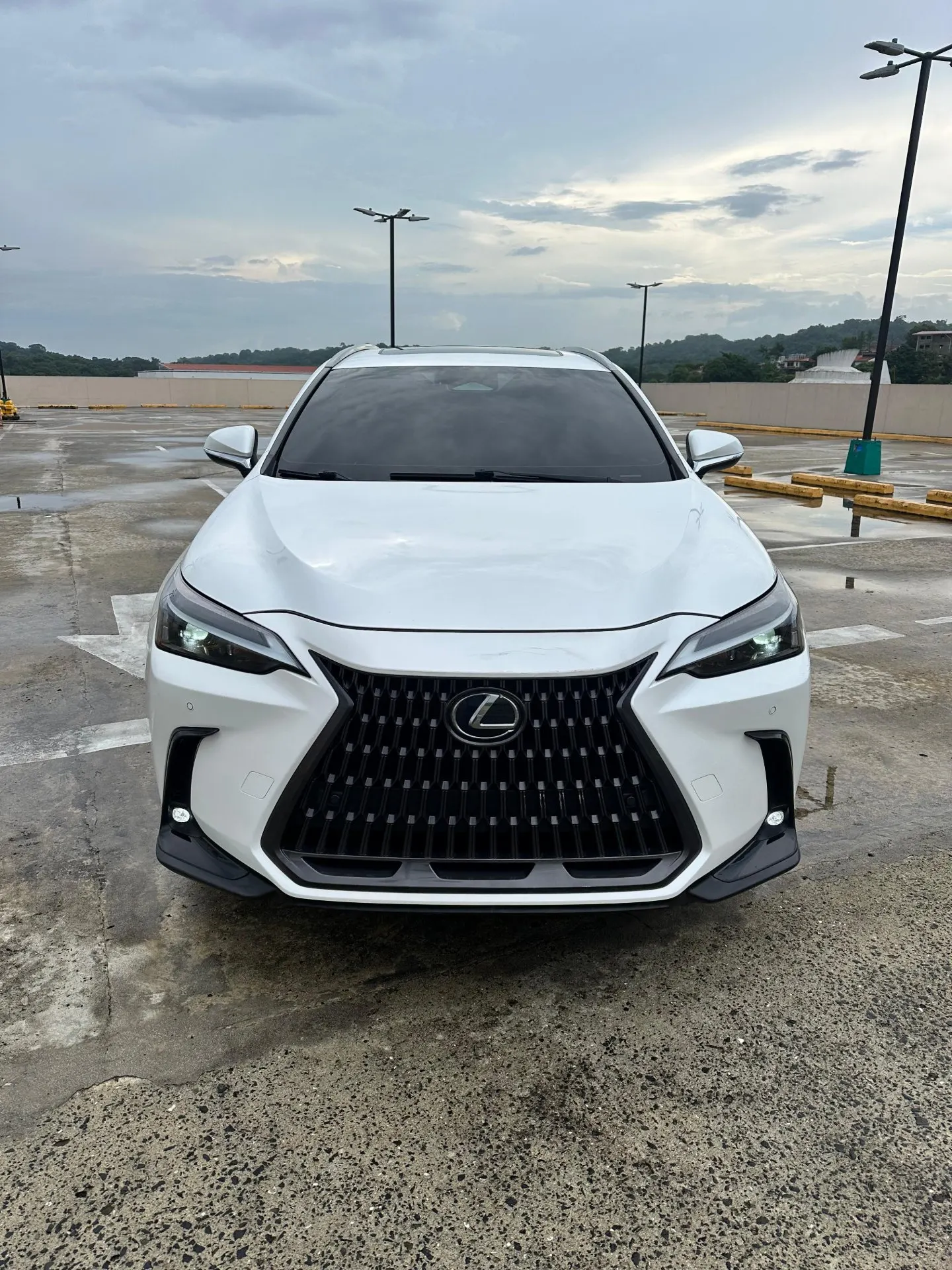 2022 Lexus NX