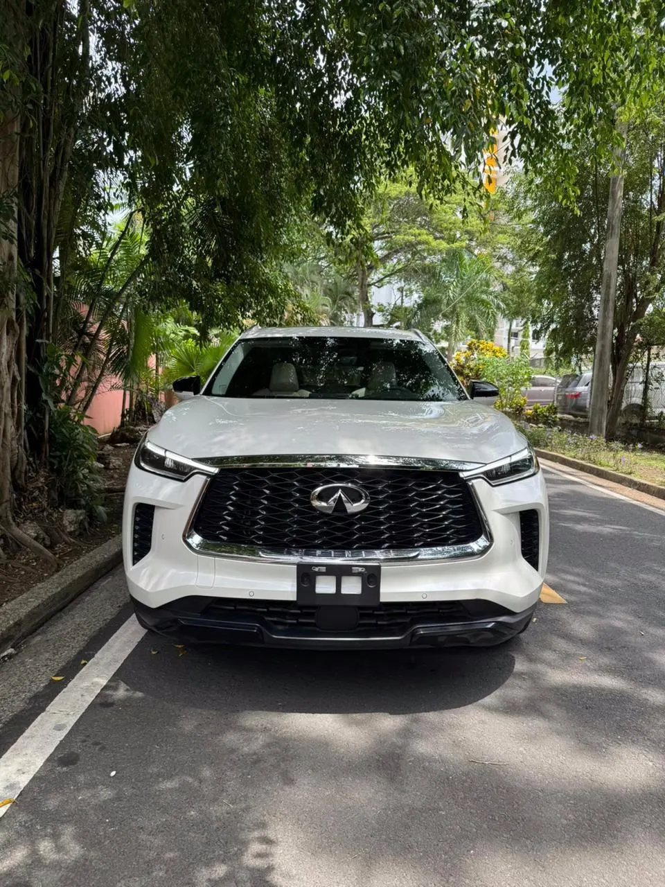 2025 Infiniti QX60