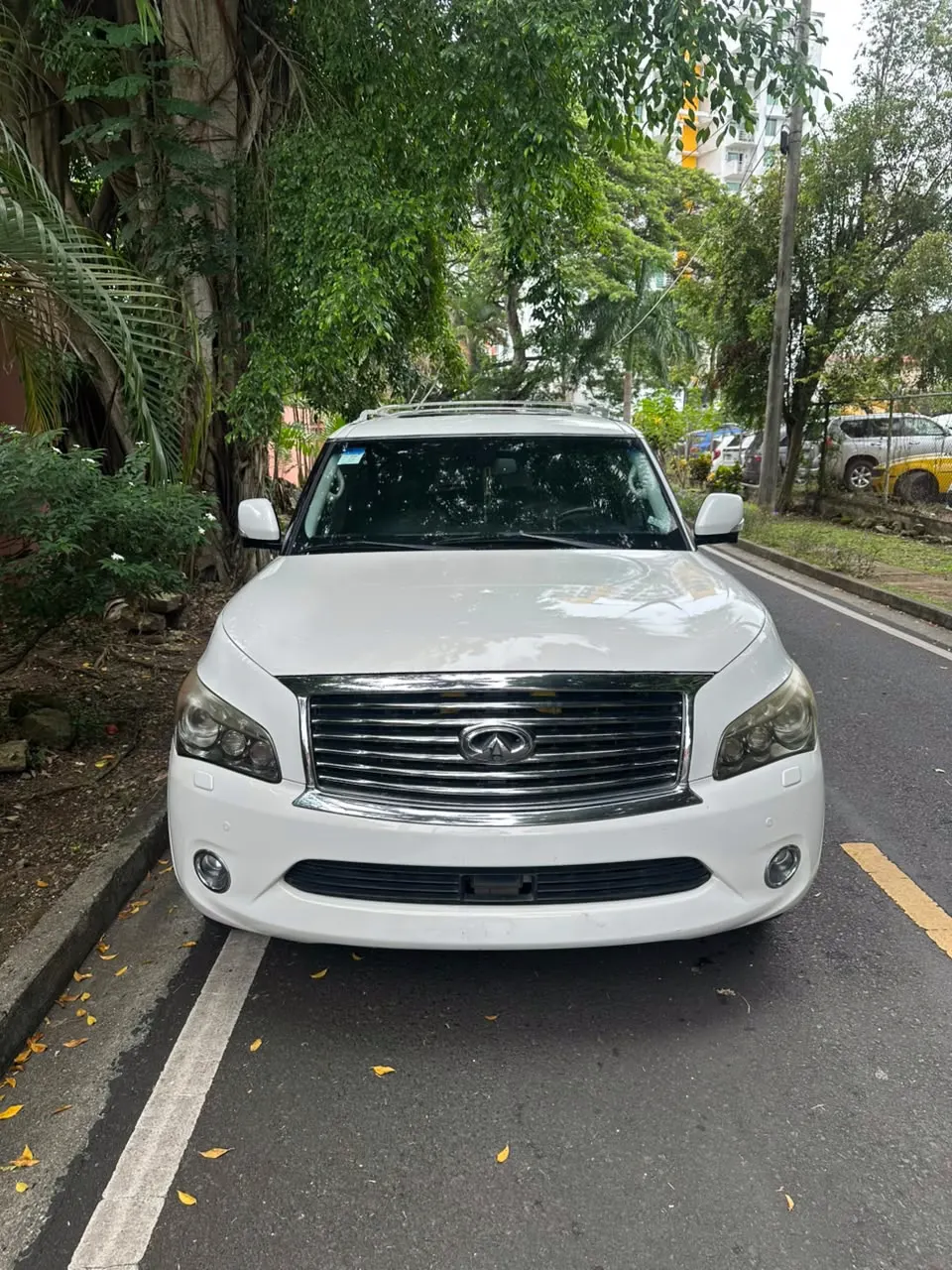 2011 Infiniti QX56