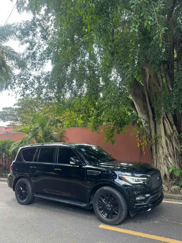 2020 Infiniti QX80