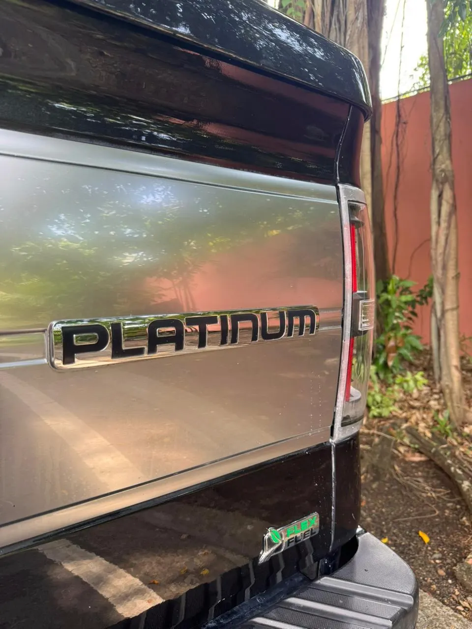 2010 Ford F-150 Platinum