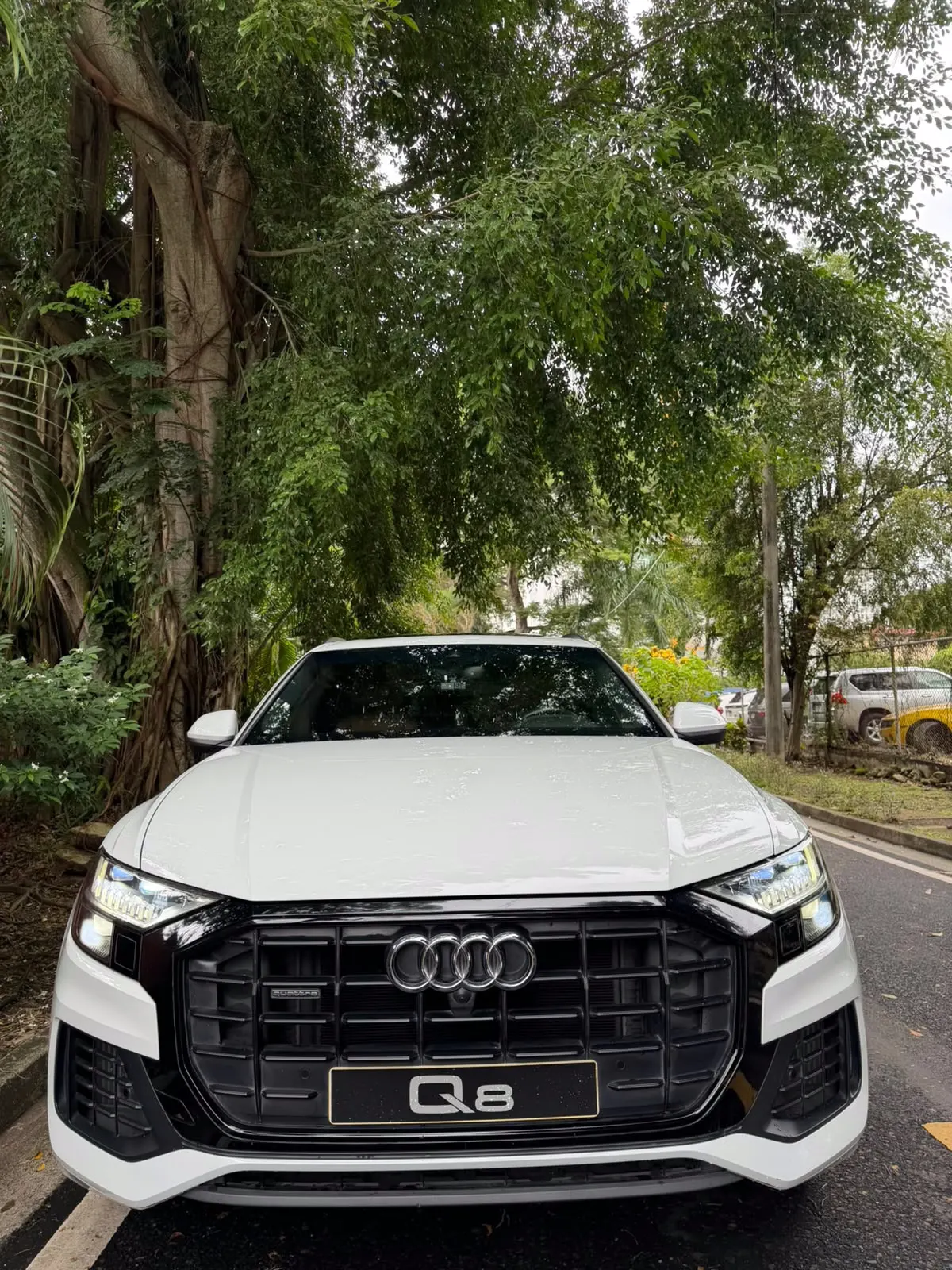 2021 Audi Q8 55 TFSI Quattro