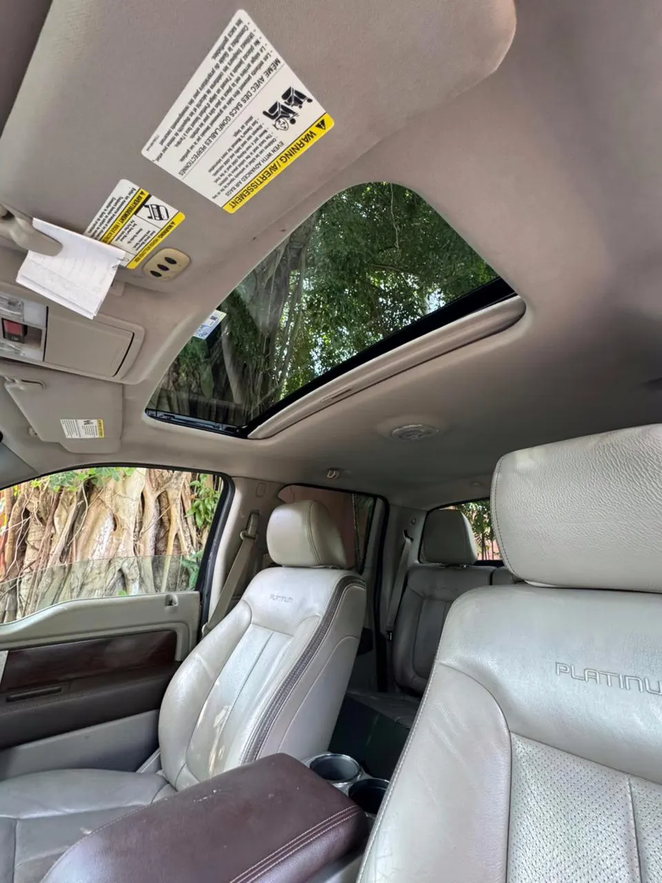 2010 Ford F-150 Platinum
