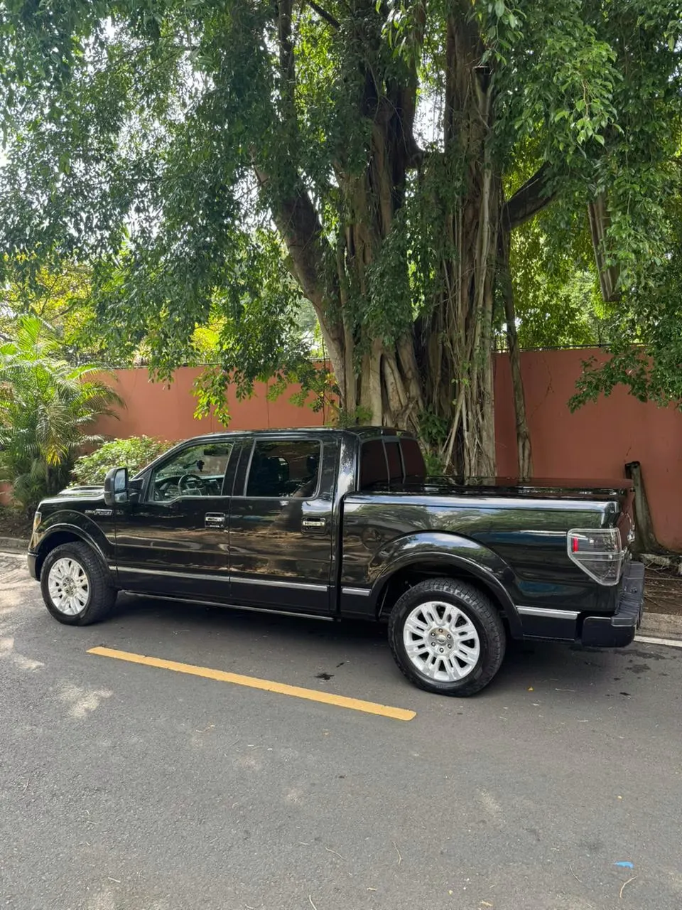 2010 Ford F-150 Platinum