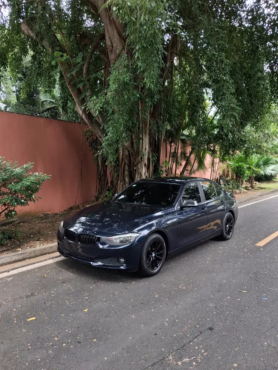 2013 BMW 316I