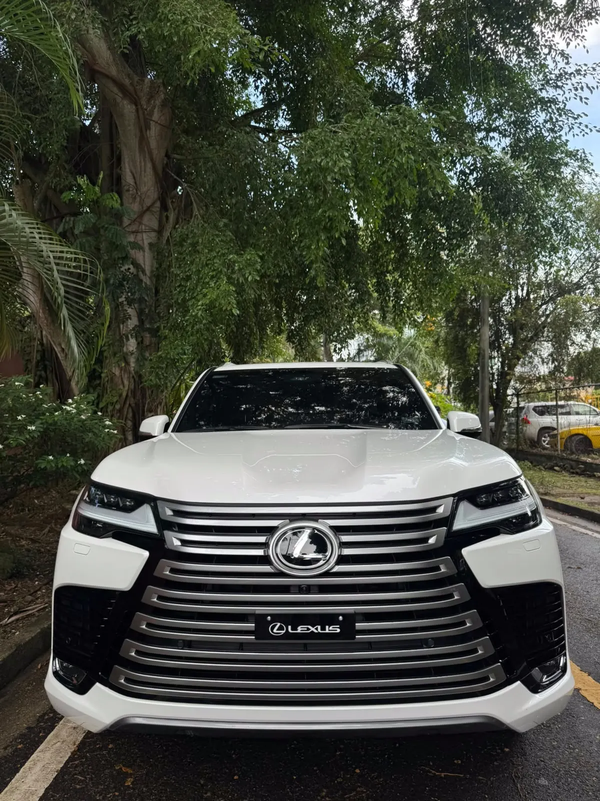2025 Lexus LX