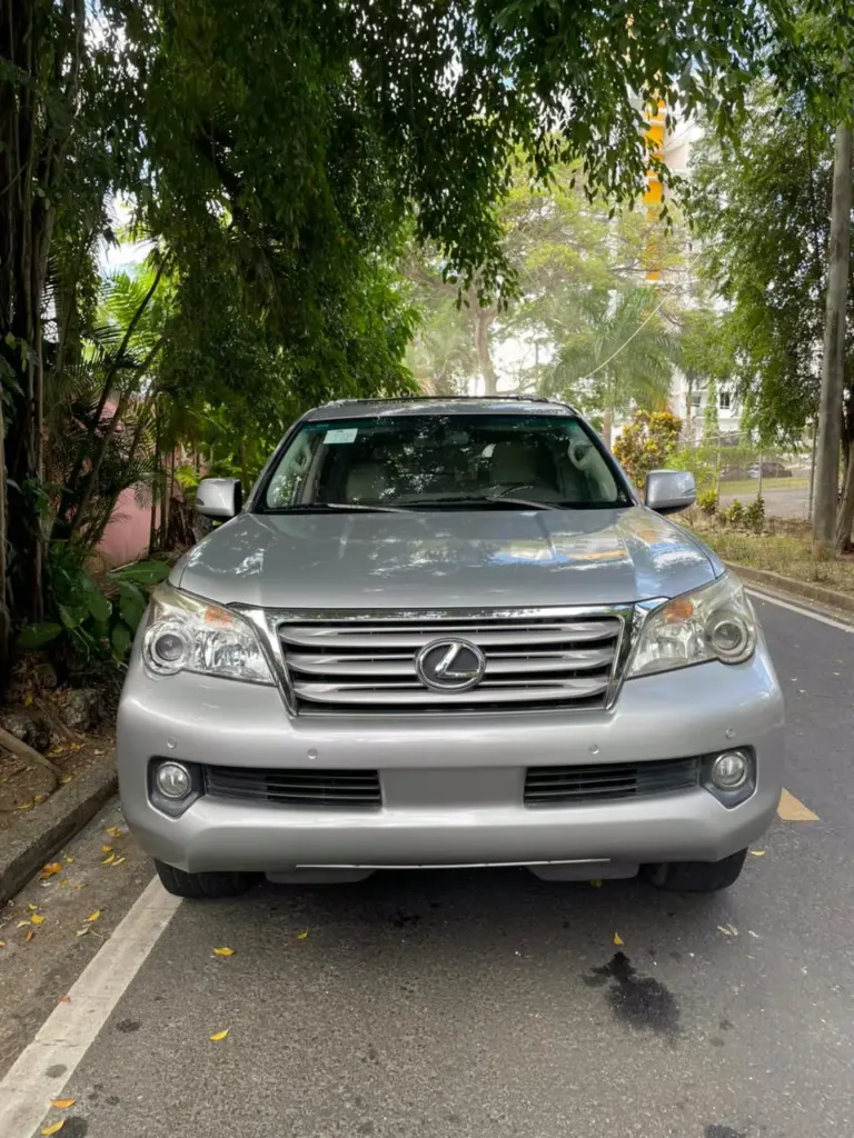 2010 Lexus GX 460