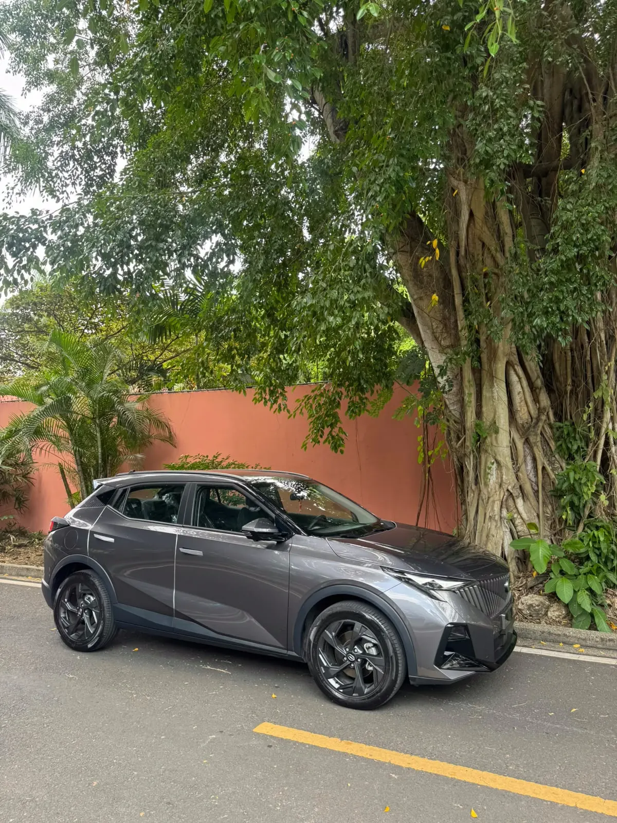 2025 GAC Emzoom