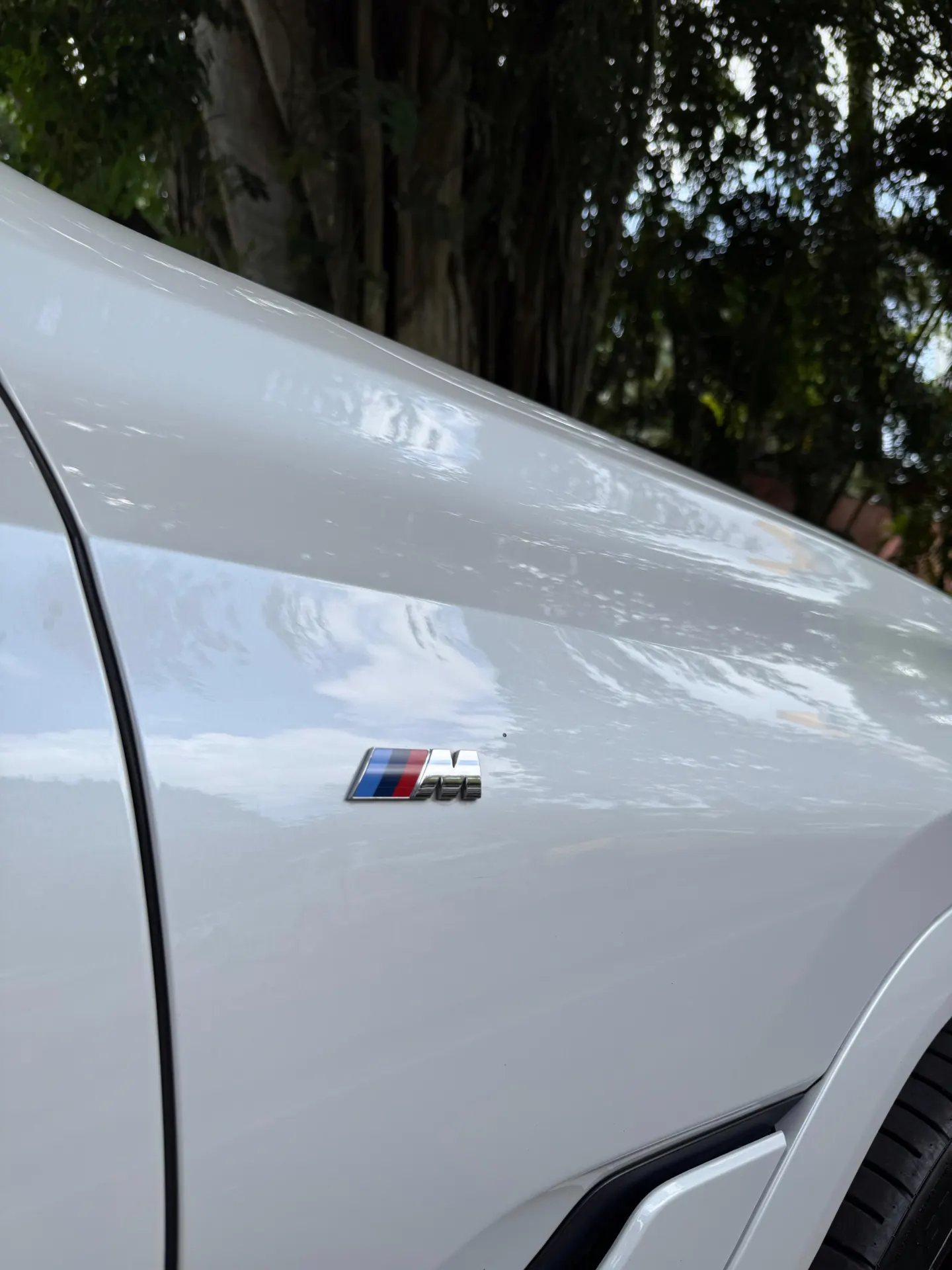 2020 BMW X6 xDrive40i M Package