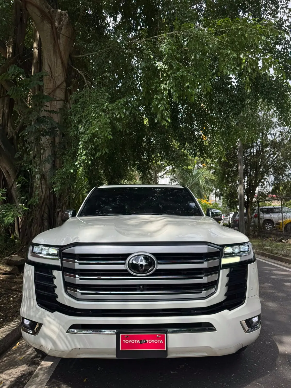 2025 Toyota Land Cruiser ZX