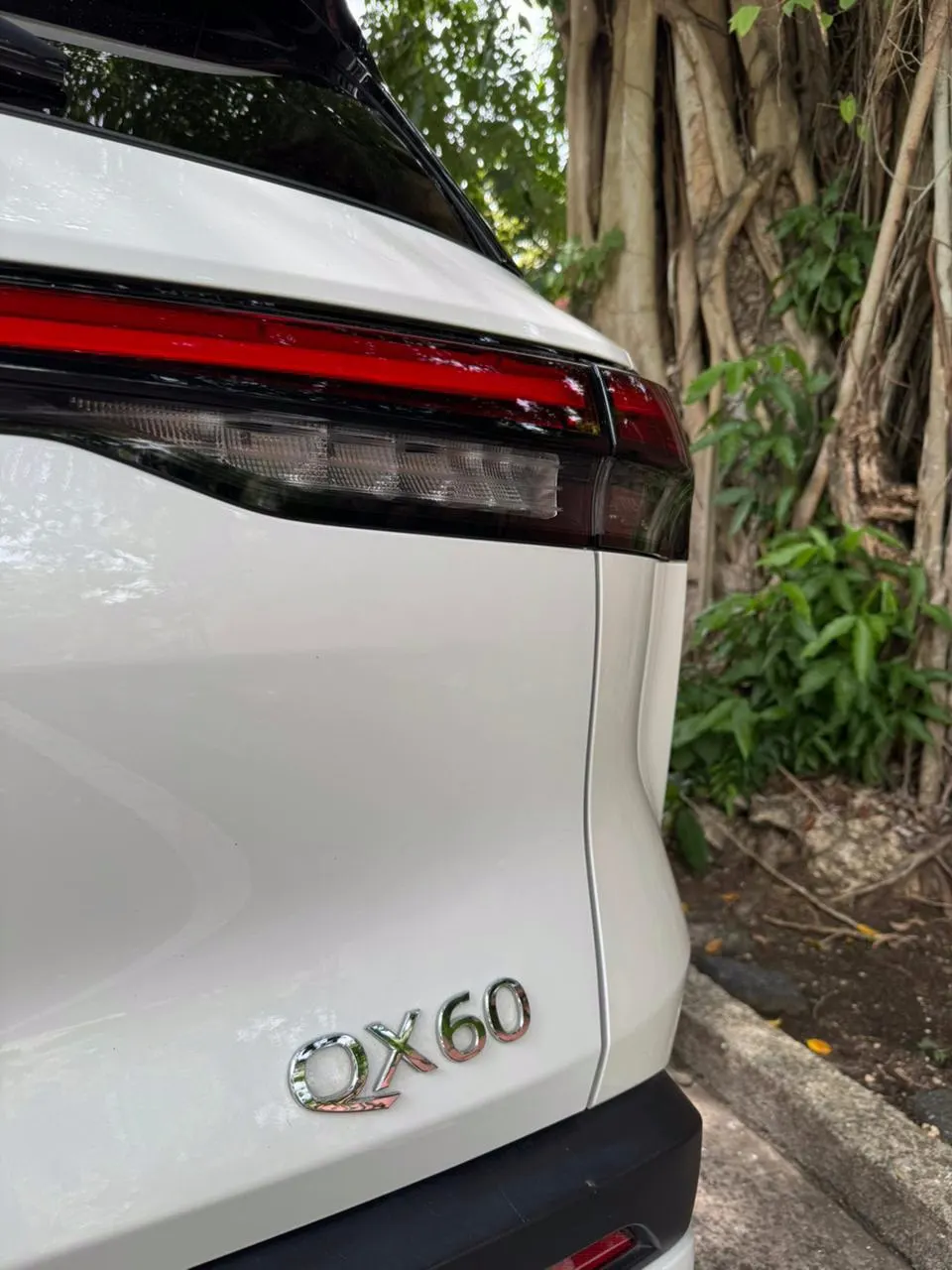 2025 Infiniti QX60