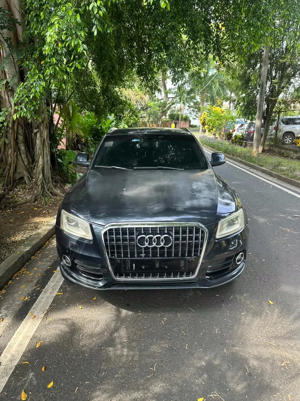 2013 Audi Q5