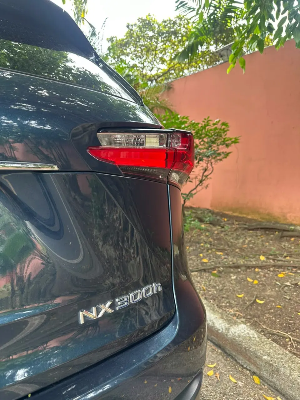 2016 Lexus NX300H