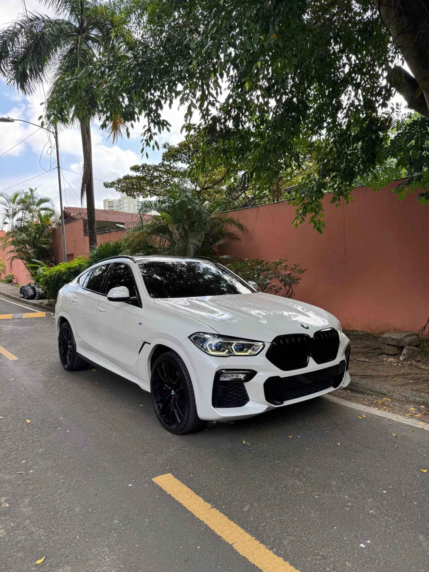 2020 BMW X6 xDrive40i M Package
