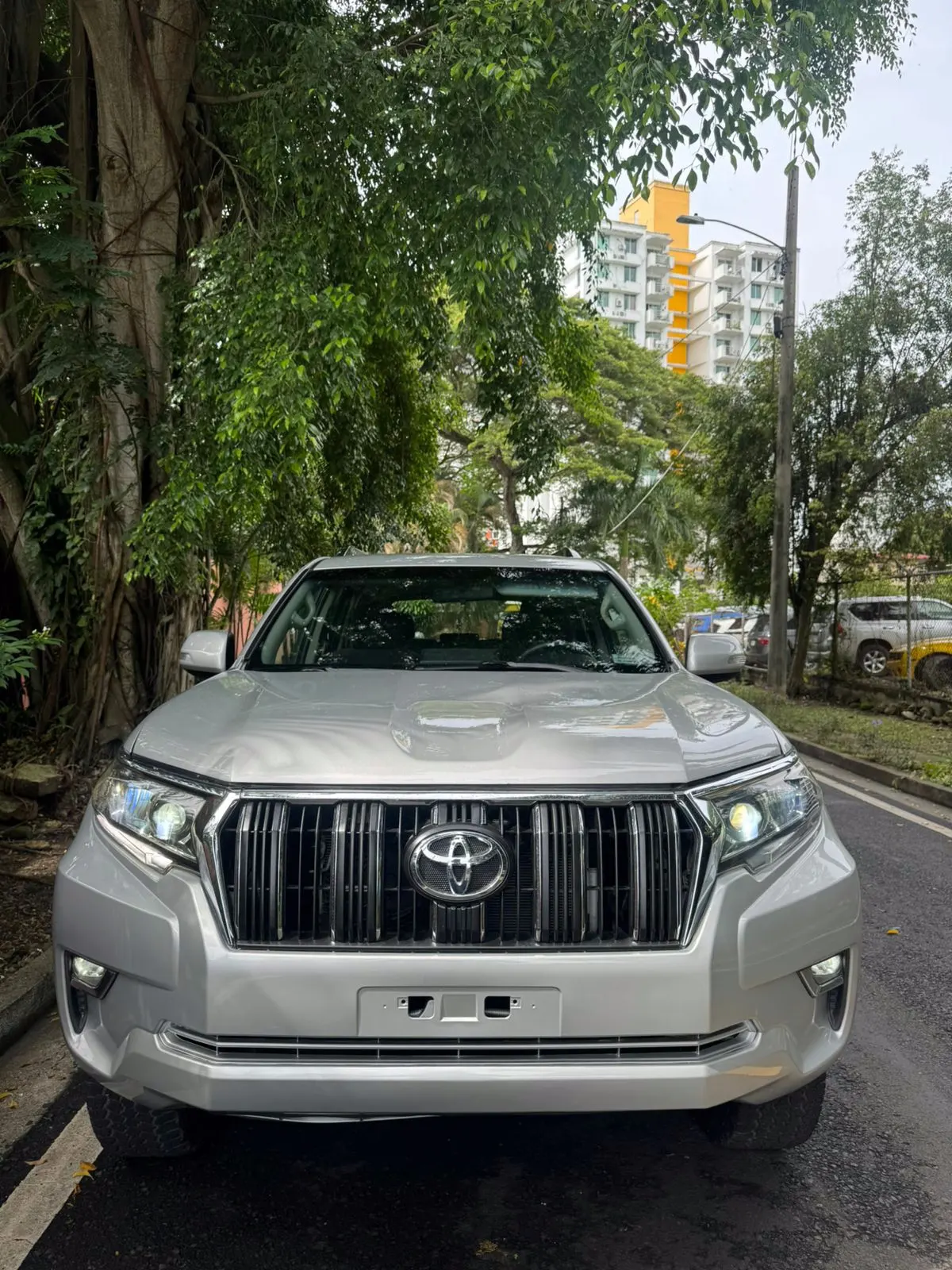 2017 Toyota Land Cruiser Prado TXL