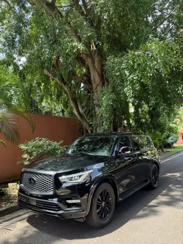 2020 Infiniti QX80