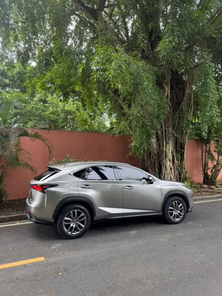 2019 Lexus NX