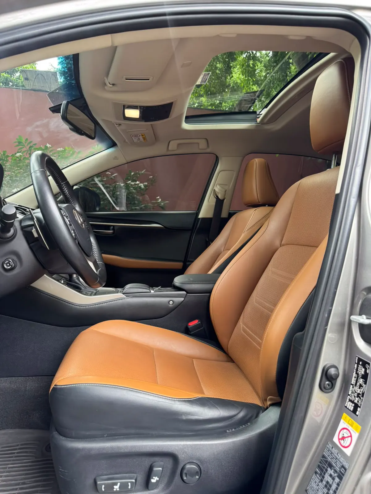 2019 Lexus NX