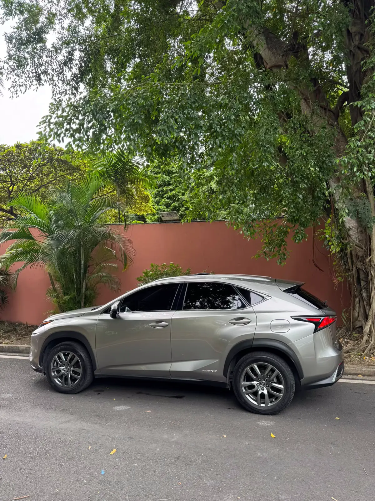 2019 Lexus NX